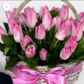 25 розовых тюльпанов в корзине